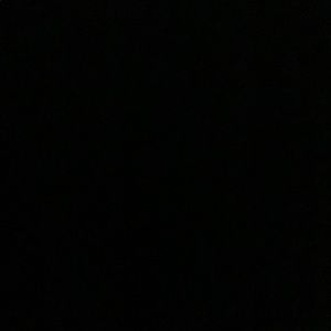 Meet your Posher, Ellen